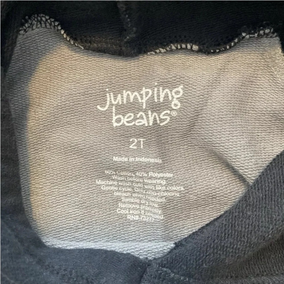 Jumping Beans Hoodie Boys Size 2T Pullover Front Pocket Knit Gray Color Block - Picture 6 of 6